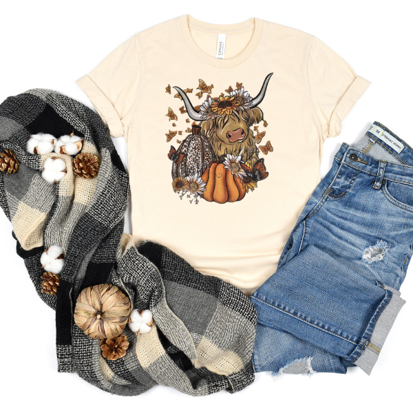 Longhorn with pumpkins