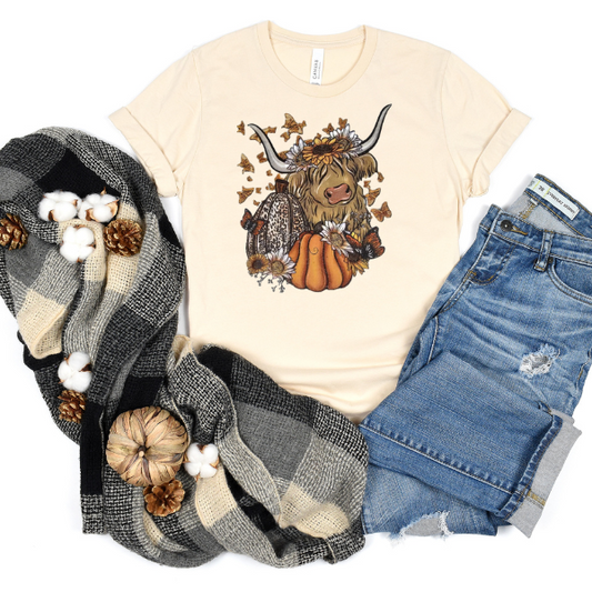 Longhorn with pumpkins