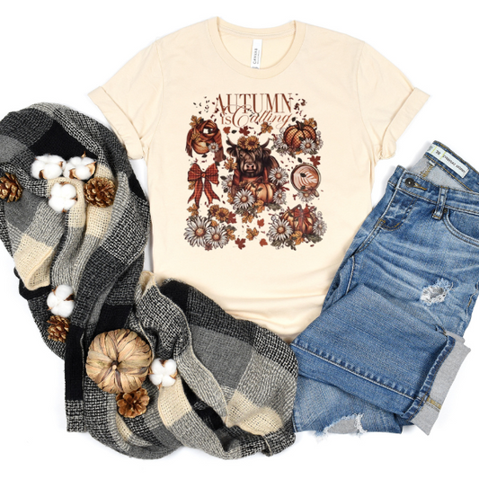 A beige t-shirt with 'Autumn' text and a decorative pumpkin pattern, paired with blue jeans, a scarf, and pinecones.