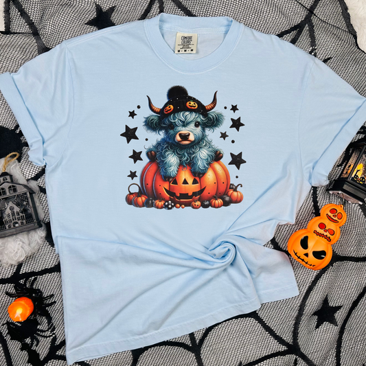 Blue highland with beanie in jack o lantern